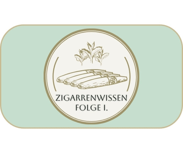 KULTUR // Zigarrenwissen Folge 1: Feuchtzigarren und das Psychrometer