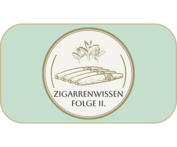 KULTUR // Zigarrenwissen Folge 2: Altdeutscher Schnitt