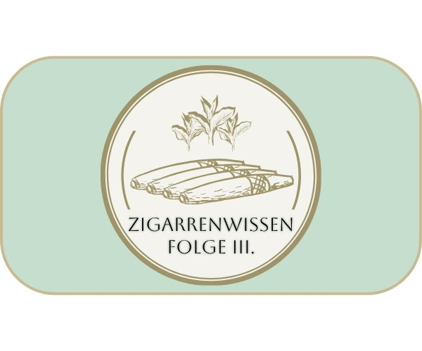 Fidibus – zusammengerollter Papierstreifen zum eleganten Anzünden von Zigarren, traditionelles Zigarrenzubehör