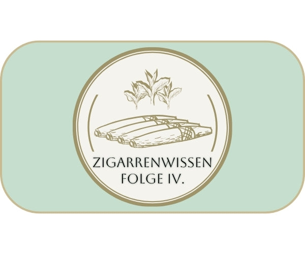 KULTUR // Zigarrenwissen Folge 4: Anzünden