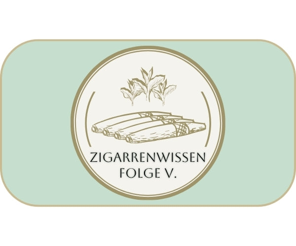 KULTUR // Zigarrenwissen Folge 5: Tabakleim