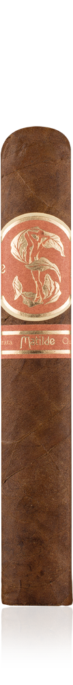 Matilde-Quadrata-Robusto