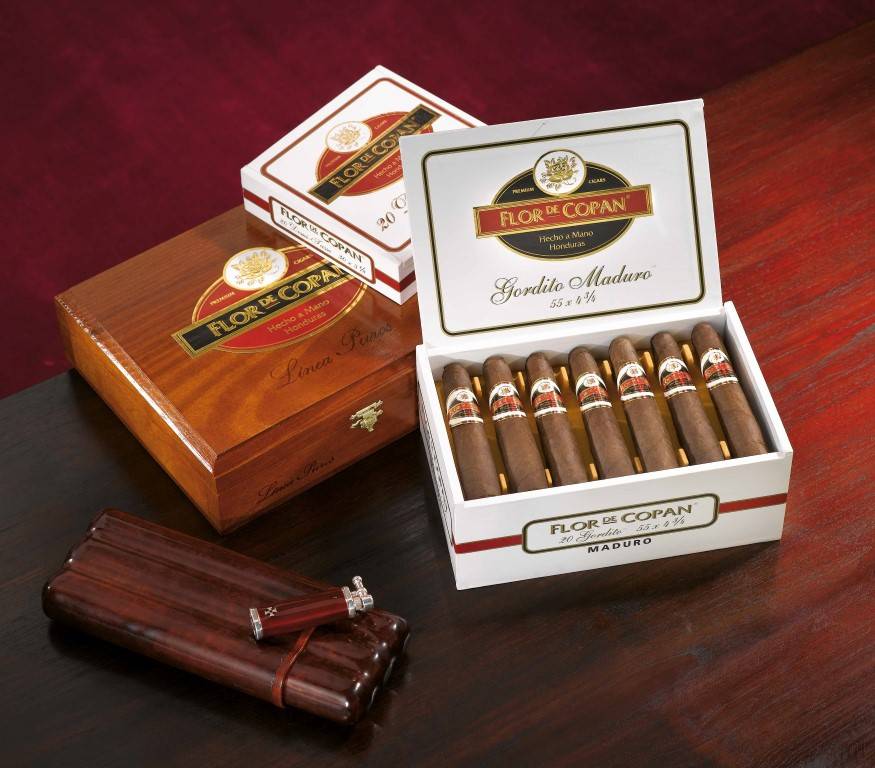 flordecopanlineapuros-robusto-20erAGxVWlkOEcJDs