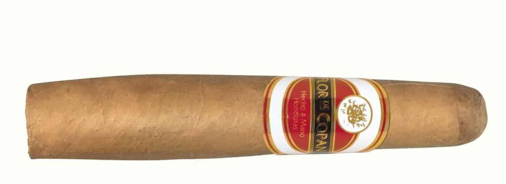 flordecopan-gorditouxjSLJz4SwTps FLOR DE COPAN - Classic Gordito (Torbusto)