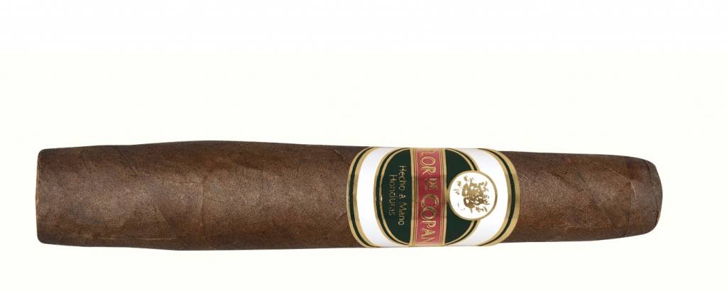 flordecopan-gorditomaduromZvJ43Zkw5Nqo FLOR DE COPAN - Maduro Gordito (Torbusto)