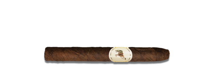 De_Olifant_Bahia_Brasil_Corona DE OLIFANT - Emotion Bahia Brasil Corona