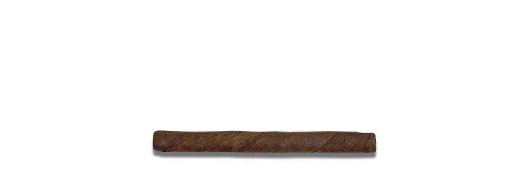 De_Olifant_Bahia_Brasil_Petit DE OLIFANT - Emotion Bahia Brasil Petit