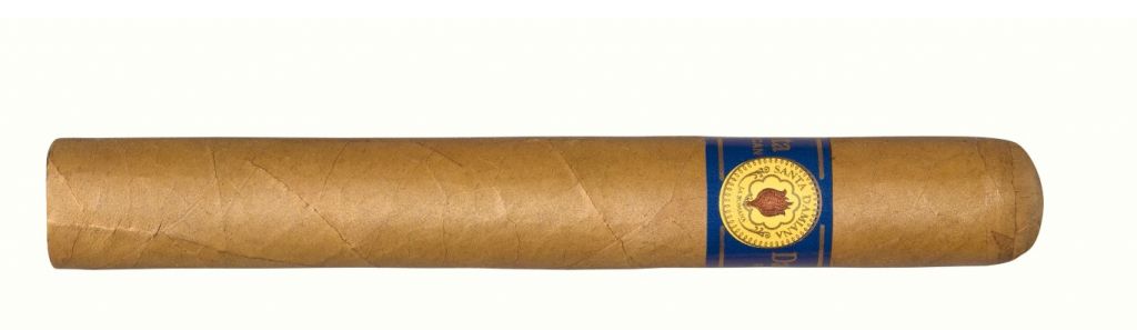 santa-damiana-petit-coronaDRZgQhvblKII7