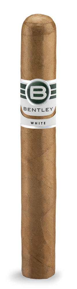 BENTLEY - White Corona